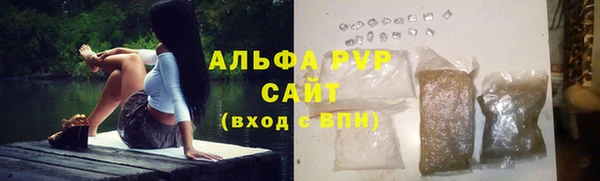 молекула духа Арсеньев