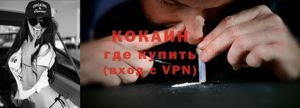 молекула духа Арсеньев