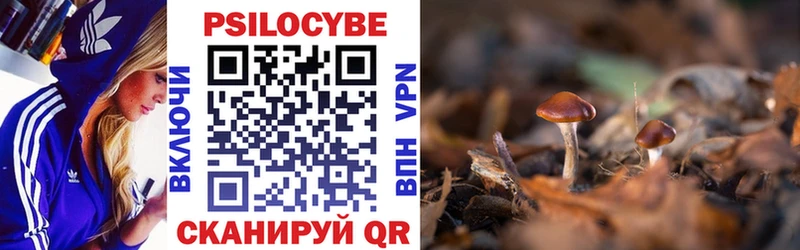 Псилоцибиновые грибы прущие грибы  mega вход  Пыталово 